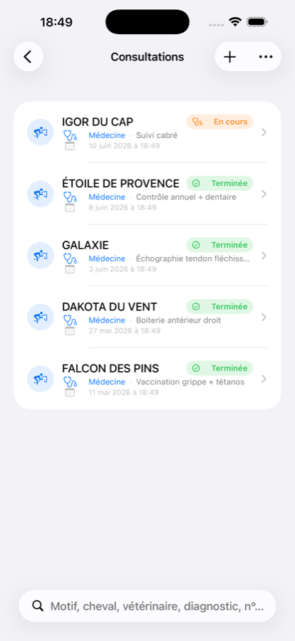 Consultations AzuriaVet