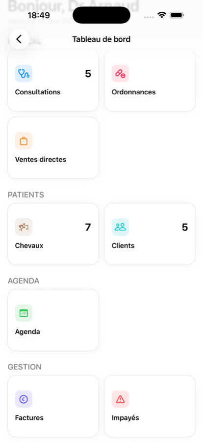 AzuriaVet sur iPhone